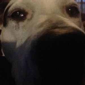 Meet your Posher, Parker